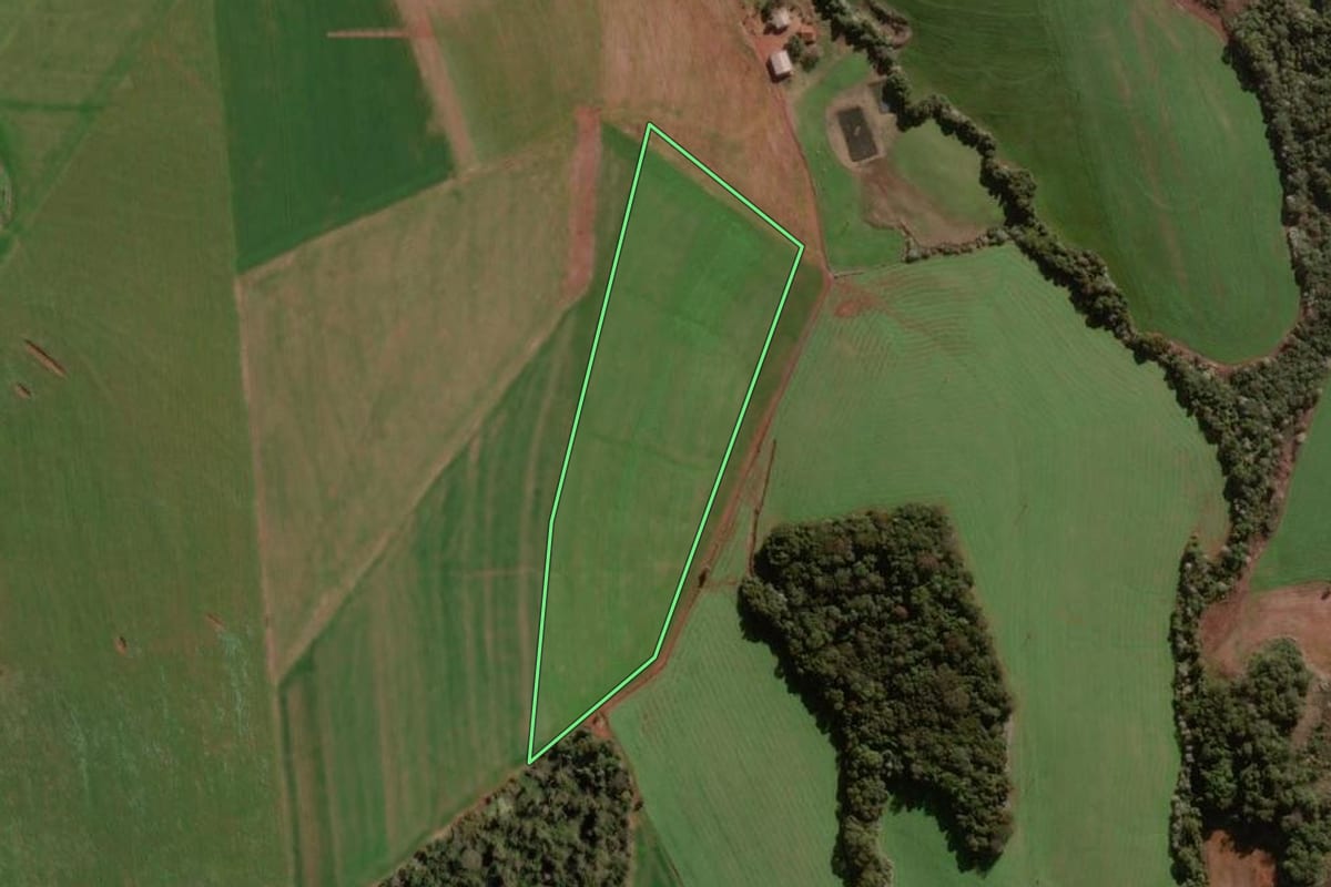 Imagem de satélite do imóvel rural em Coronel Bicaco (RS), com o contorno declarado no CAR desenhado por cima.