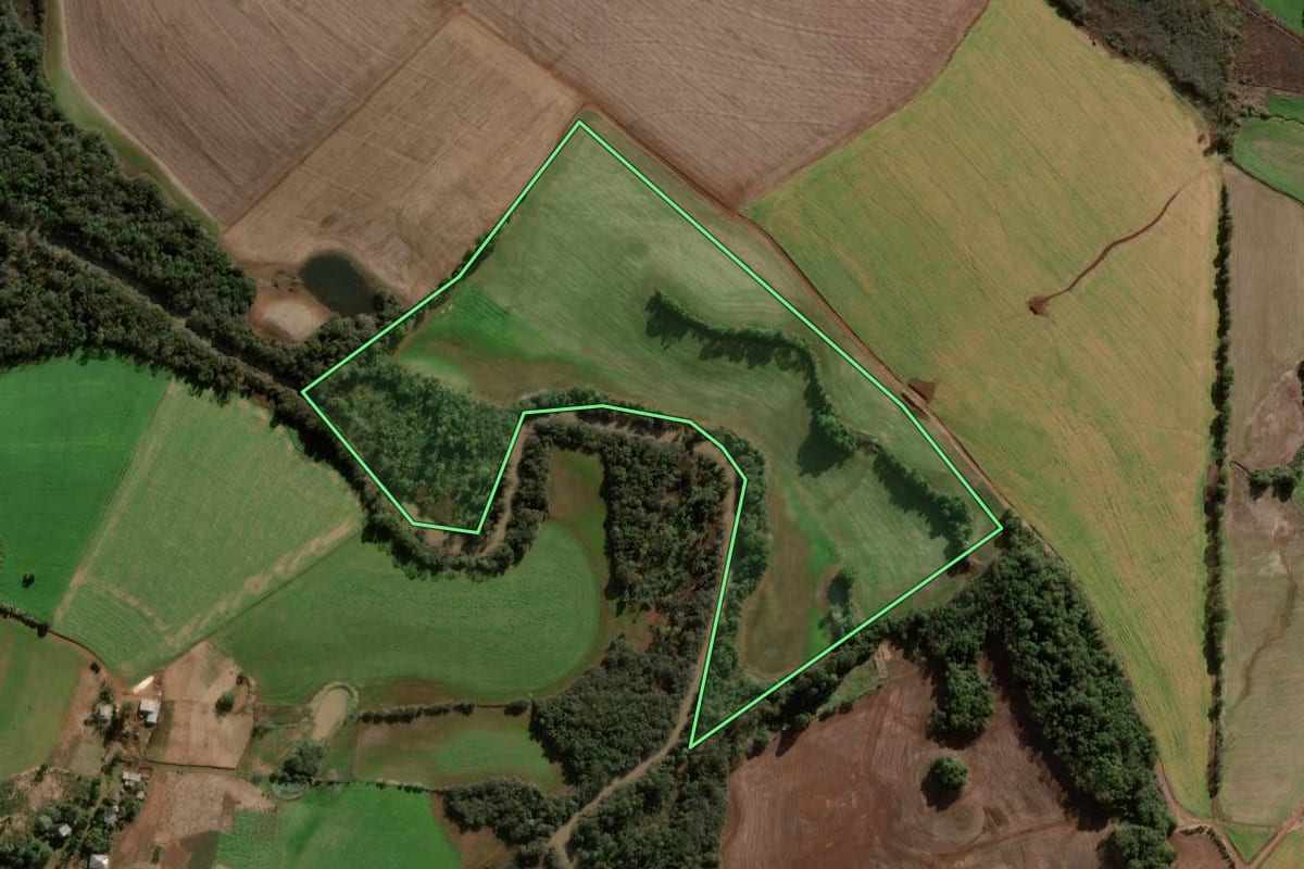 Imagem de satélite do imóvel rural em Coronel Bicaco (RS), com o contorno declarado no CAR desenhado por cima.
