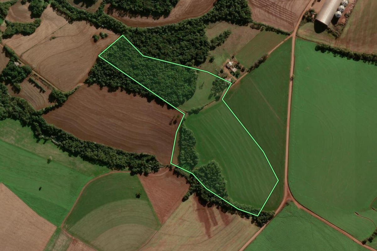 Imagem de satélite do imóvel rural em Coronel Bicaco (RS), com o contorno declarado no CAR desenhado por cima.