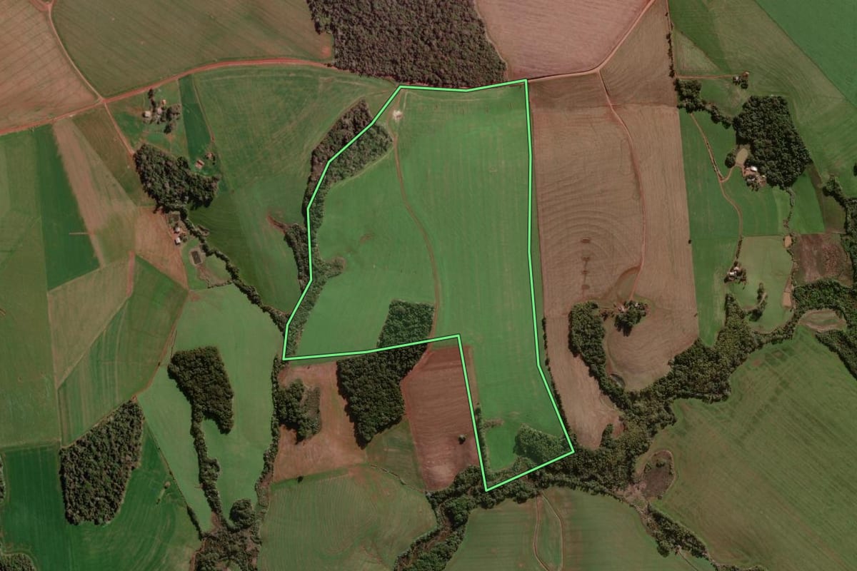 Imagem de satélite do imóvel rural em Coronel Bicaco (RS), com o contorno declarado no CAR desenhado por cima.