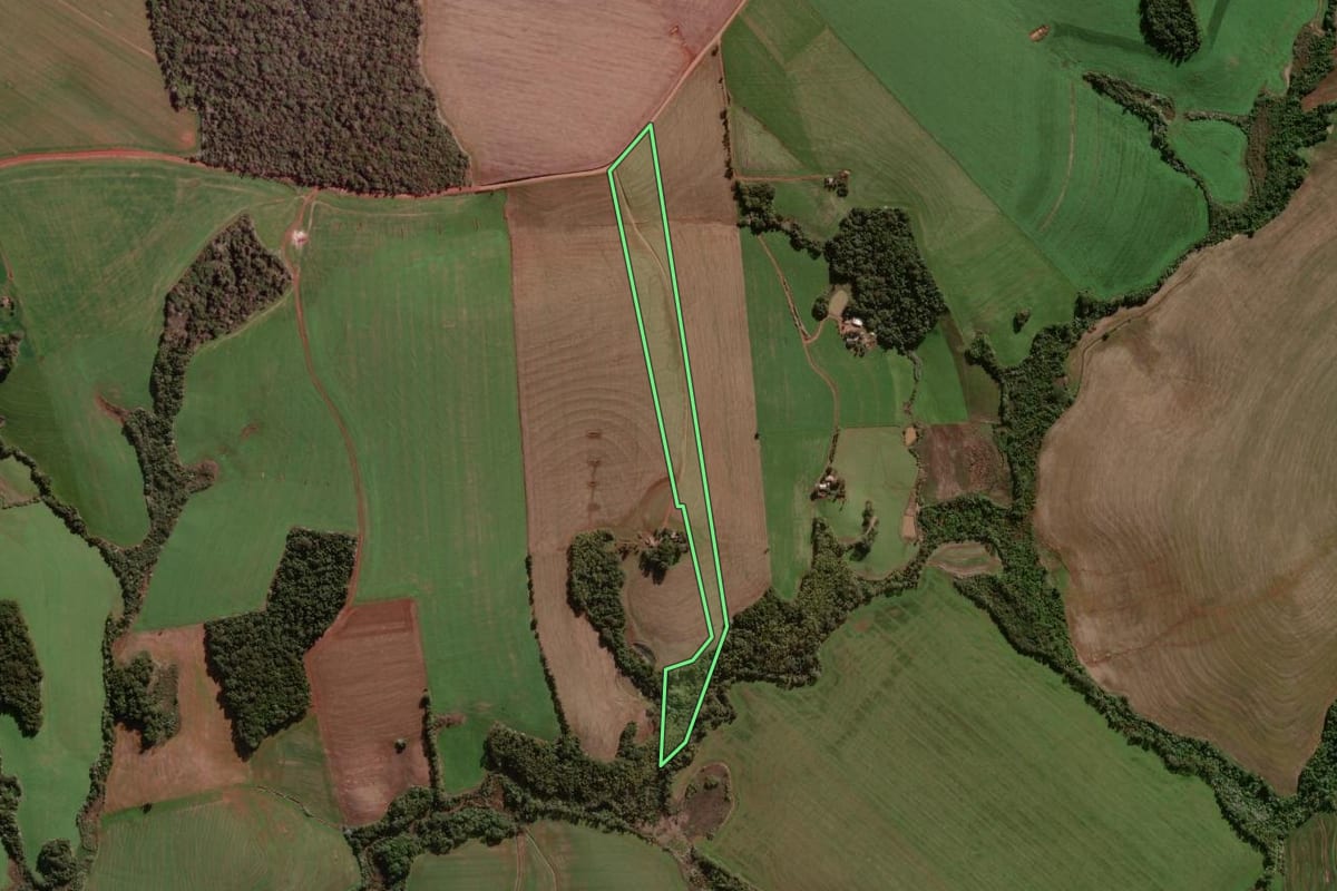 Imagem de satélite do imóvel rural em Coronel Bicaco (RS), com o contorno declarado no CAR desenhado por cima.