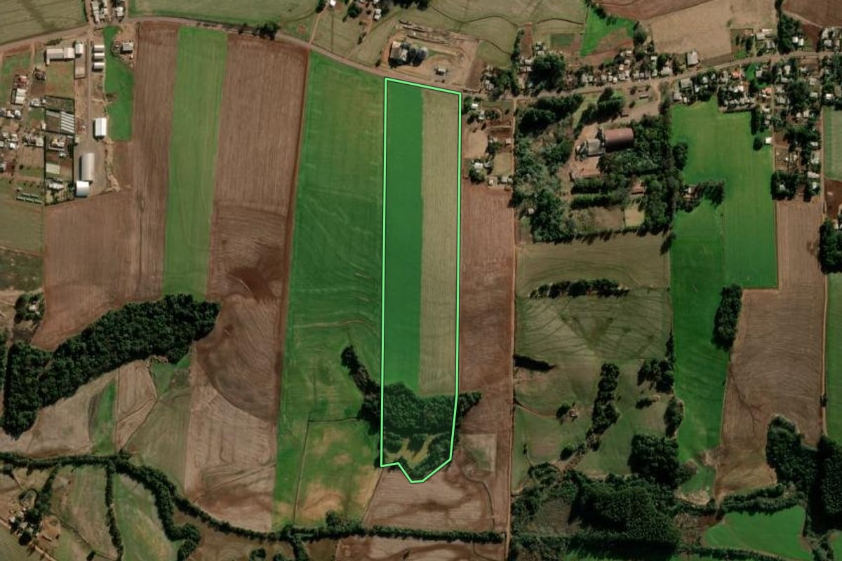 Imagem de satélite do imóvel rural em Coronel Bicaco (RS), com o contorno declarado no CAR desenhado por cima.