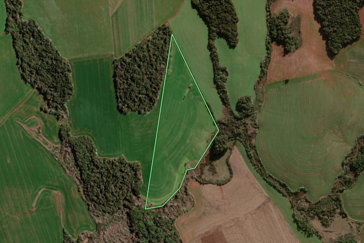 Imagem de satélite do imóvel rural em Coronel Bicaco (RS), com o contorno declarado no CAR desenhado por cima.