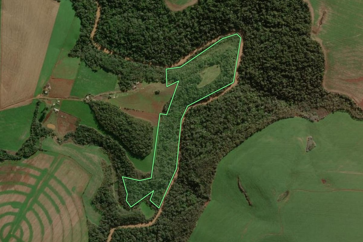Imagem de satélite do imóvel rural em Coronel Bicaco (RS), com o contorno declarado no CAR desenhado por cima.