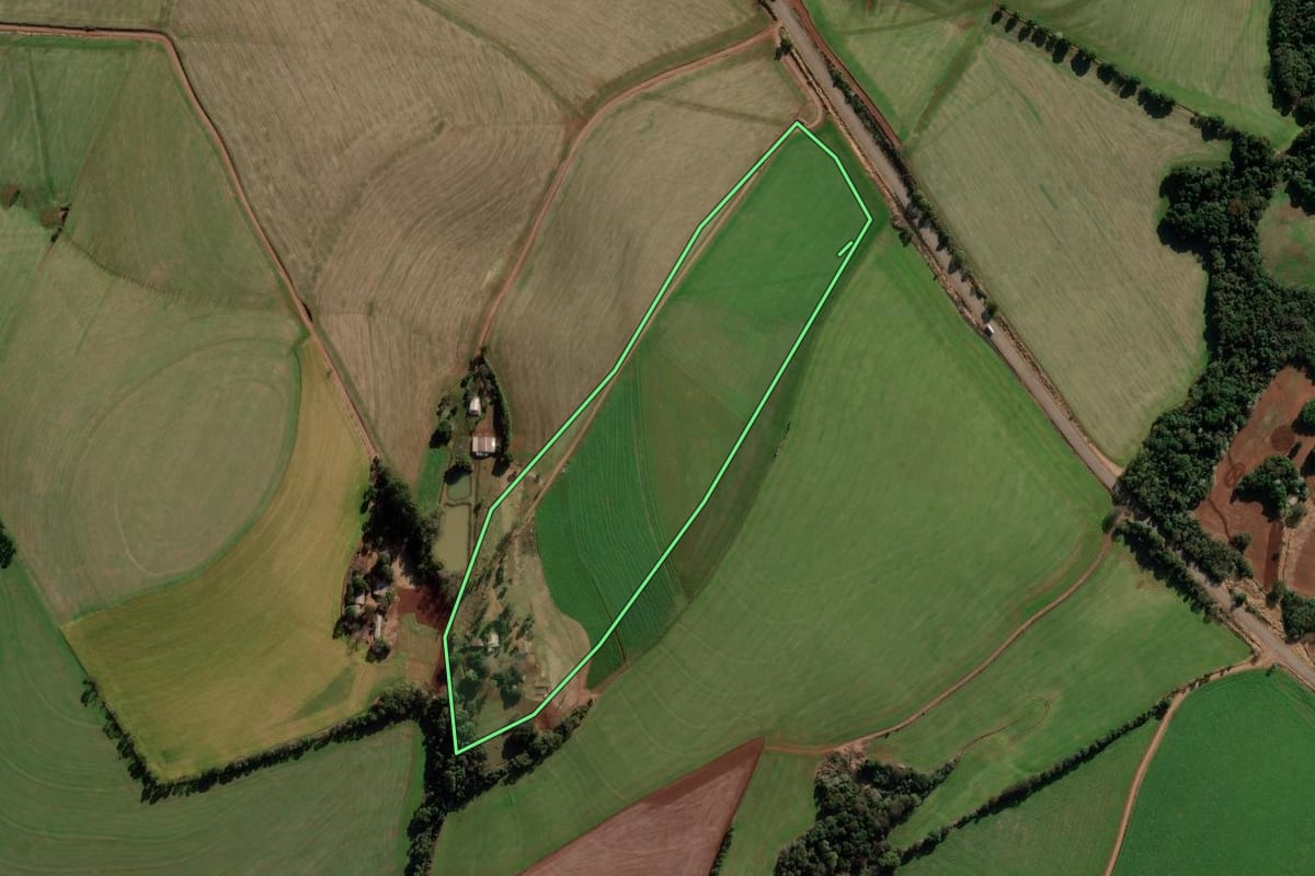 Imagem de satélite do imóvel rural em Coronel Bicaco (RS), com o contorno declarado no CAR desenhado por cima.