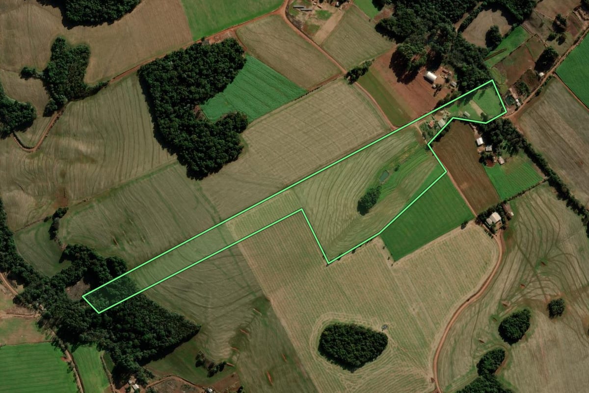 Imagem de satélite do imóvel rural em Coronel Bicaco (RS), com o contorno declarado no CAR desenhado por cima.