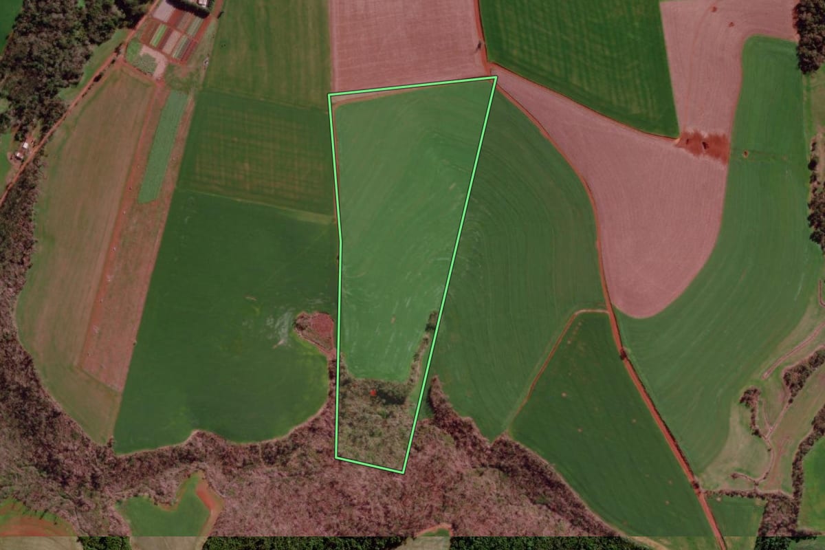 Imagem de satélite do imóvel rural em Coronel Bicaco (RS), com o contorno declarado no CAR desenhado por cima.