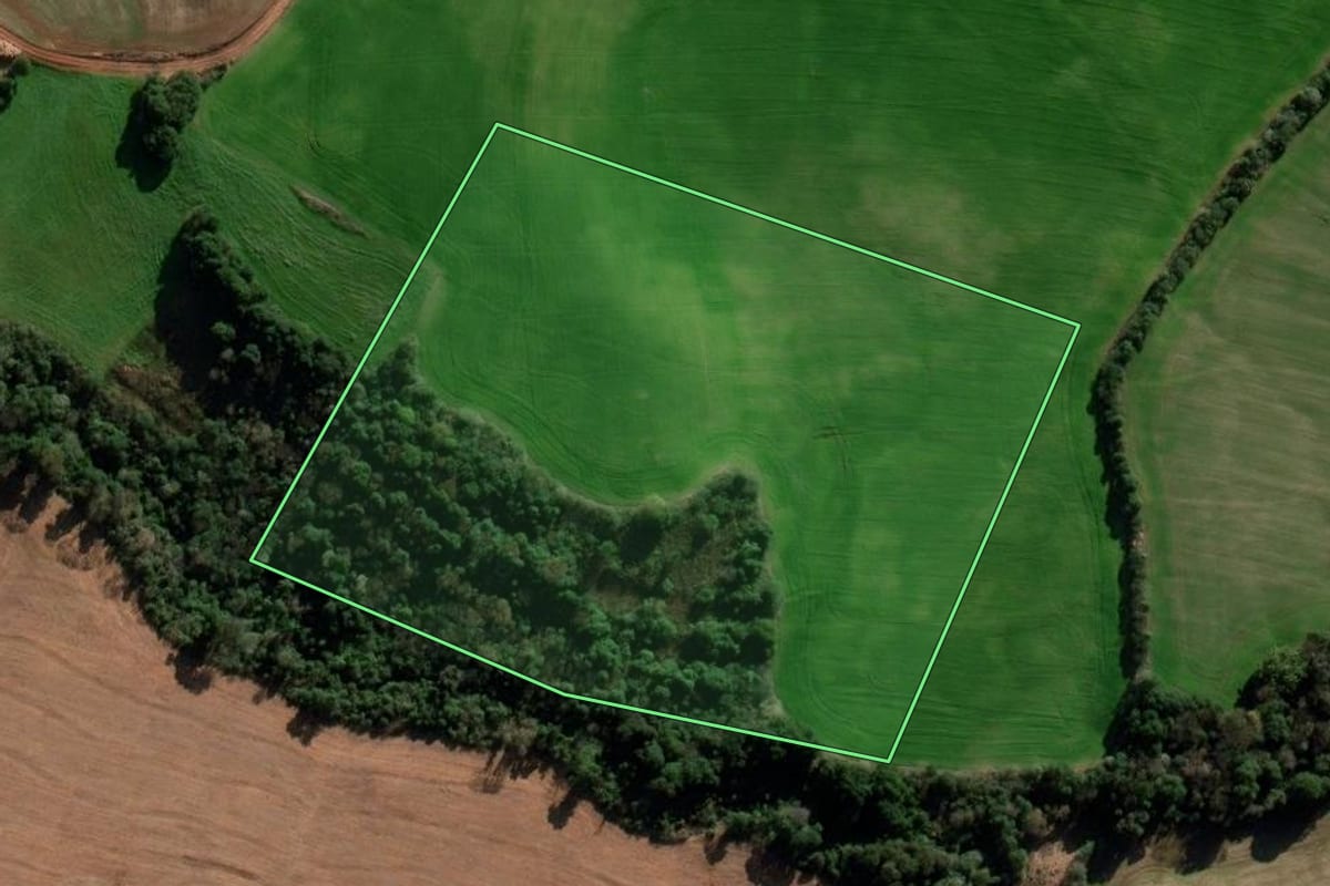 Imagem de satélite do imóvel rural em Coronel Bicaco (RS), com o contorno declarado no CAR desenhado por cima.