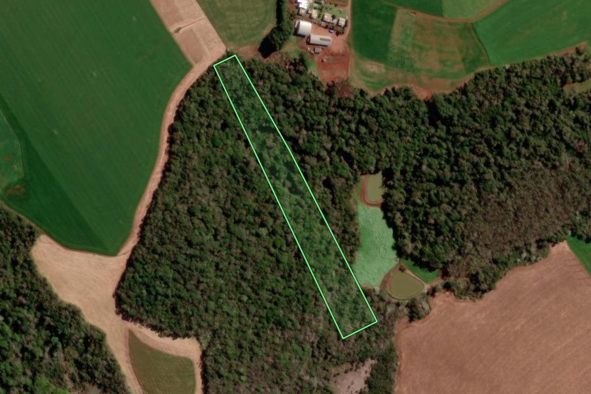 Imagem de satélite do imóvel rural em Coronel Bicaco (RS), com o contorno declarado no CAR desenhado por cima.