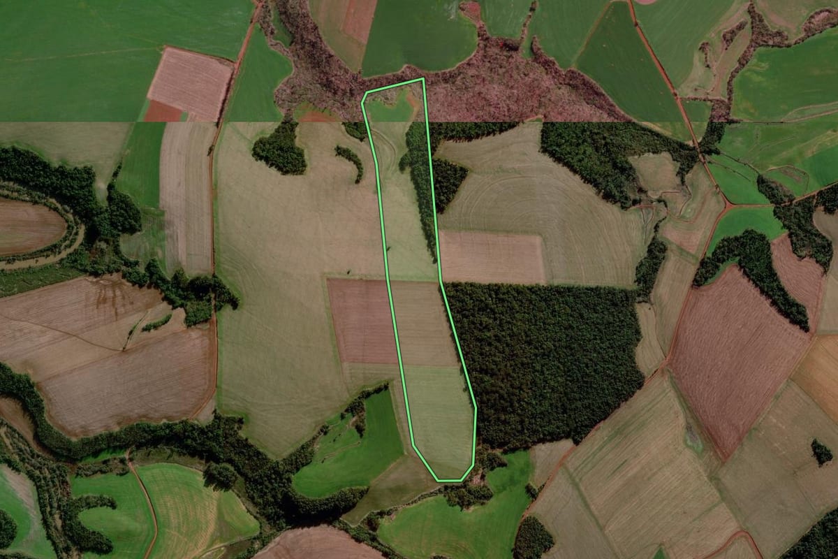 Imagem de satélite do imóvel rural em Coronel Bicaco (RS), com o contorno declarado no CAR desenhado por cima.