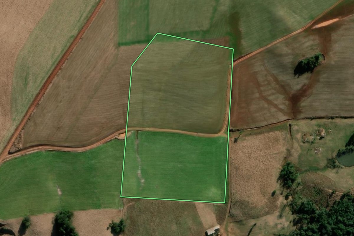Imagem de satélite do imóvel rural em Coronel Bicaco (RS), com o contorno declarado no CAR desenhado por cima.