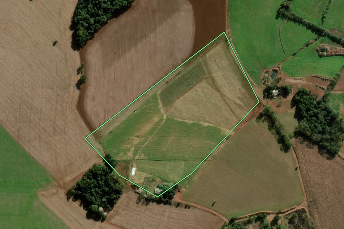 Imagem de satélite do imóvel rural em Coronel Bicaco (RS), com o contorno declarado no CAR desenhado por cima.