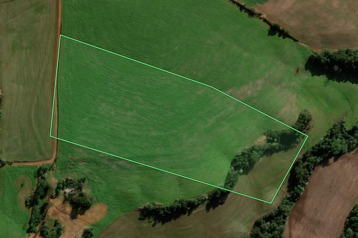 Imagem de satélite do imóvel rural em Coronel Bicaco (RS), com o contorno declarado no CAR desenhado por cima.