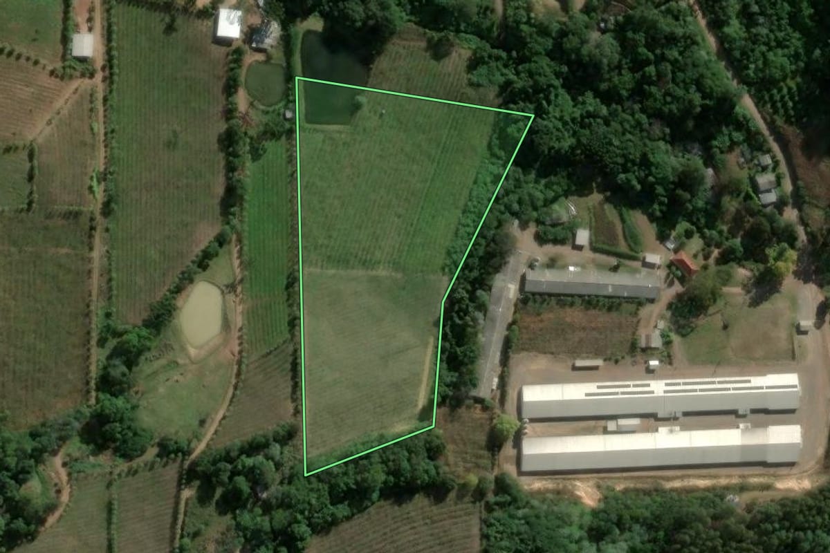 Imagem de satélite do imóvel rural em Coronel Pilar (RS), com o contorno declarado no CAR desenhado por cima.