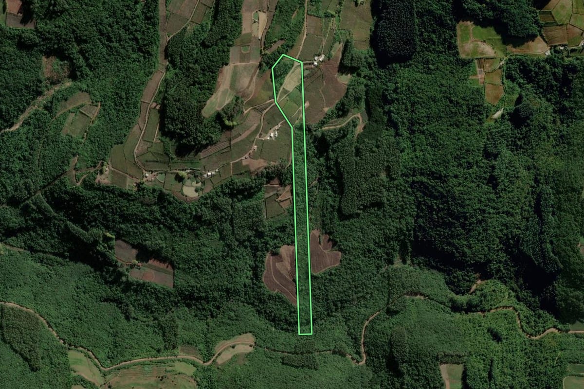 Imagem de satélite do imóvel rural em Coronel Pilar (RS), com o contorno declarado no CAR desenhado por cima.