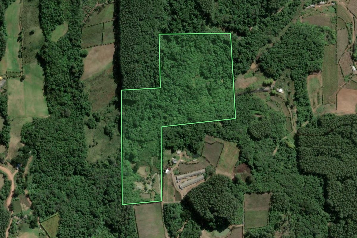Imagem de satélite do imóvel rural em Coronel Pilar (RS), com o contorno declarado no CAR desenhado por cima.