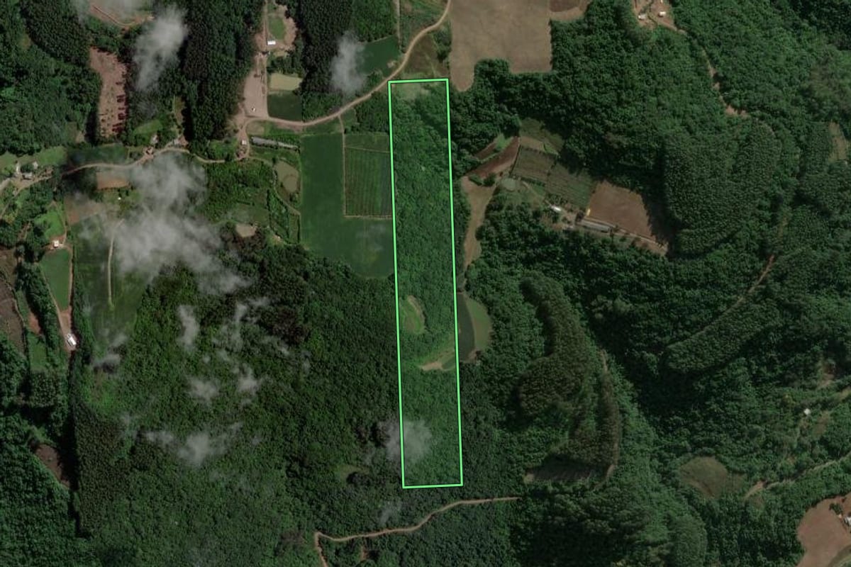 Imagem de satélite do imóvel rural em Coronel Pilar (RS), com o contorno declarado no CAR desenhado por cima.