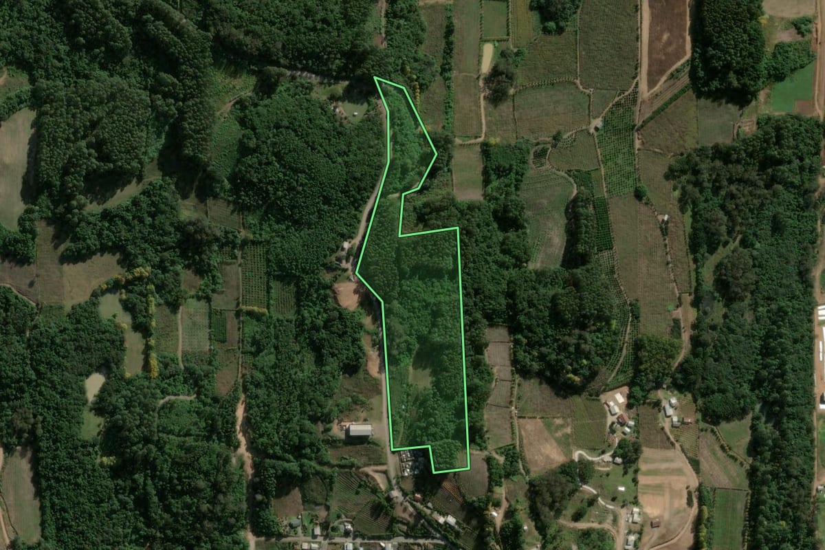 Imagem de satélite do imóvel rural em Coronel Pilar (RS), com o contorno declarado no CAR desenhado por cima.