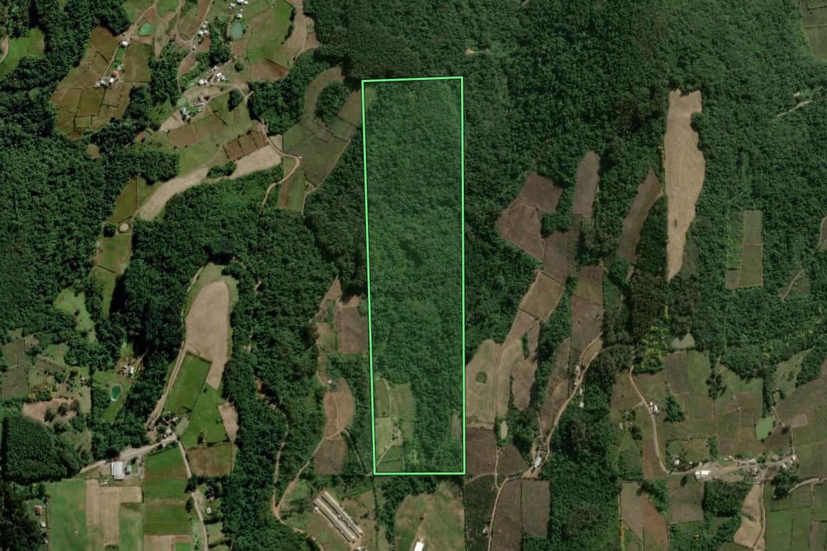 Imagem de satélite do imóvel rural em Coronel Pilar (RS), com o contorno declarado no CAR desenhado por cima.