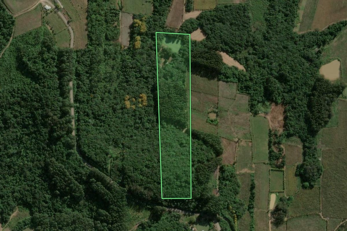 Imagem de satélite do imóvel rural em Coronel Pilar (RS), com o contorno declarado no CAR desenhado por cima.