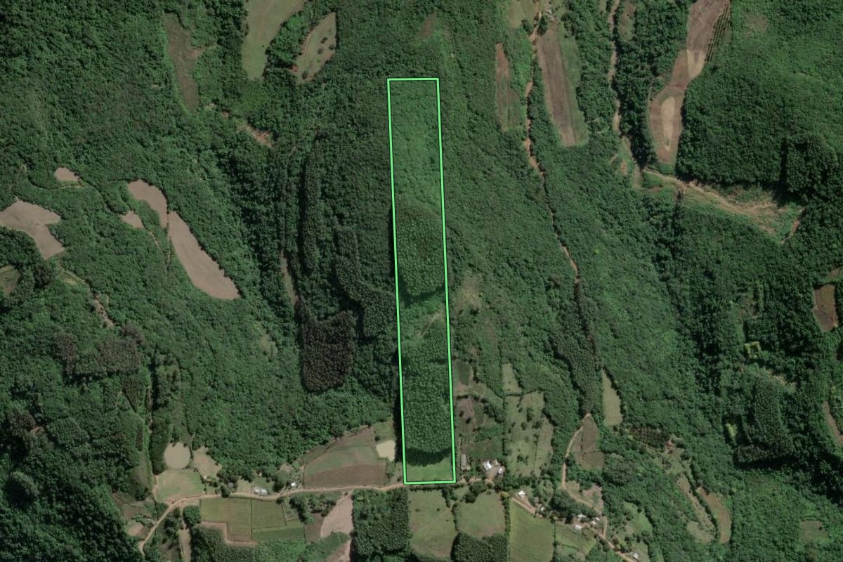 Imagem de satélite do imóvel rural em Coronel Pilar (RS), com o contorno declarado no CAR desenhado por cima.