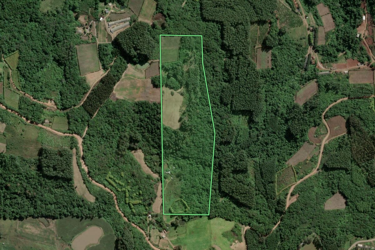 Imagem de satélite do imóvel rural em Coronel Pilar (RS), com o contorno declarado no CAR desenhado por cima.