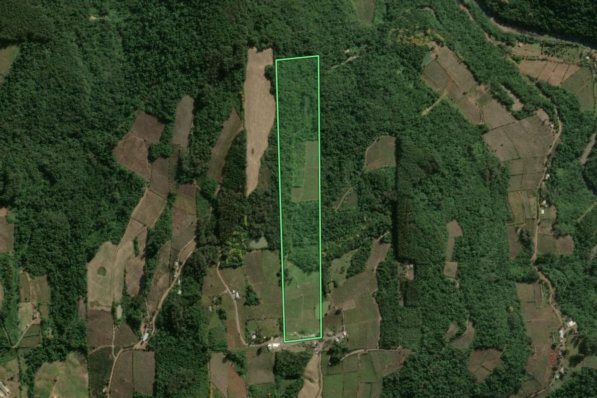 Imagem de satélite do imóvel rural em Coronel Pilar (RS), com o contorno declarado no CAR desenhado por cima.
