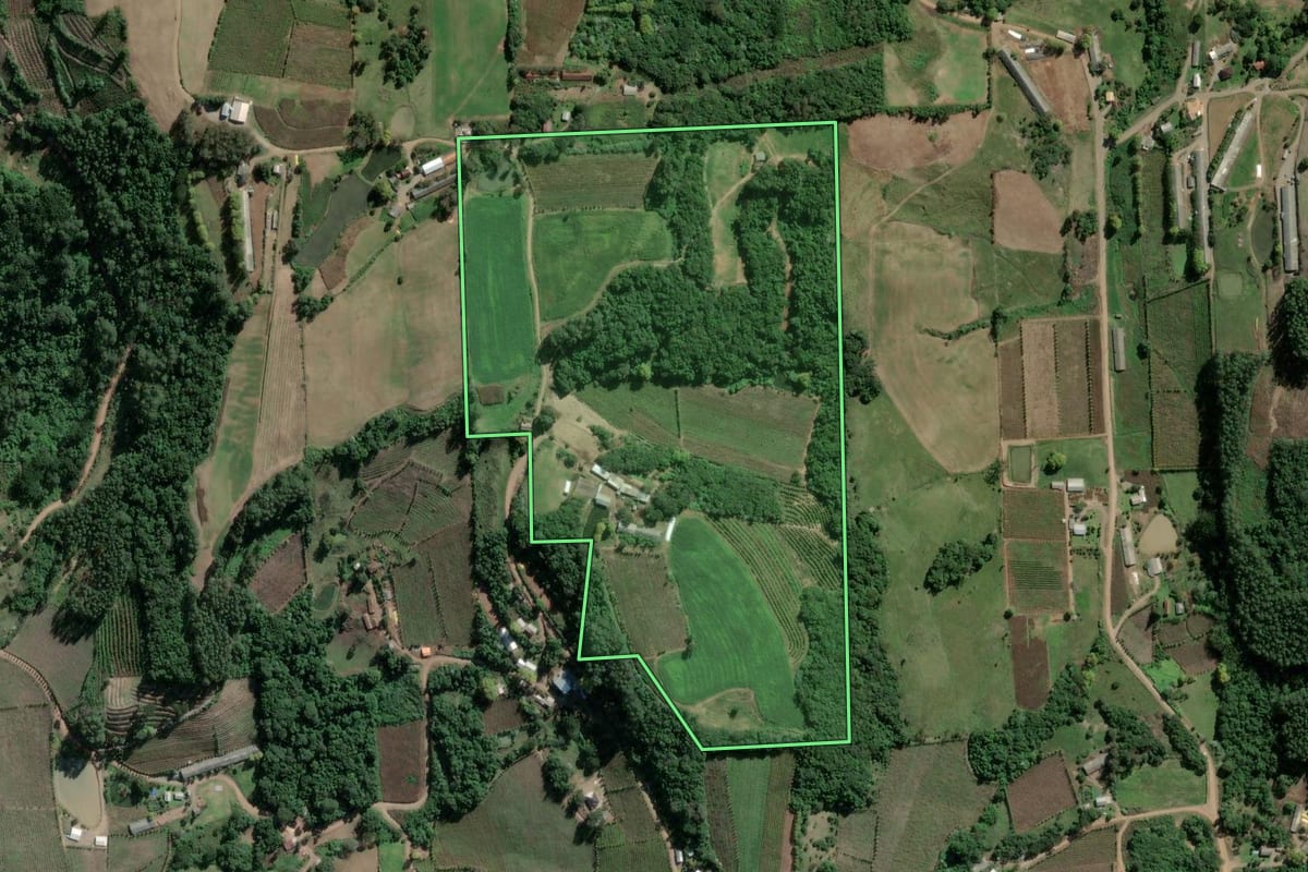 Imagem de satélite do imóvel rural em Coronel Pilar (RS), com o contorno declarado no CAR desenhado por cima.
