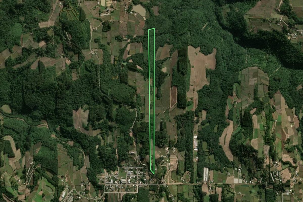 Imagem de satélite do imóvel rural em Coronel Pilar (RS), com o contorno declarado no CAR desenhado por cima.