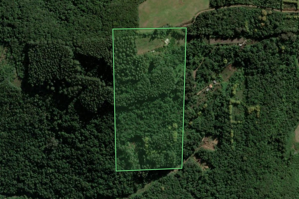 Imagem de satélite do imóvel rural em Coronel Pilar (RS), com o contorno declarado no CAR desenhado por cima.