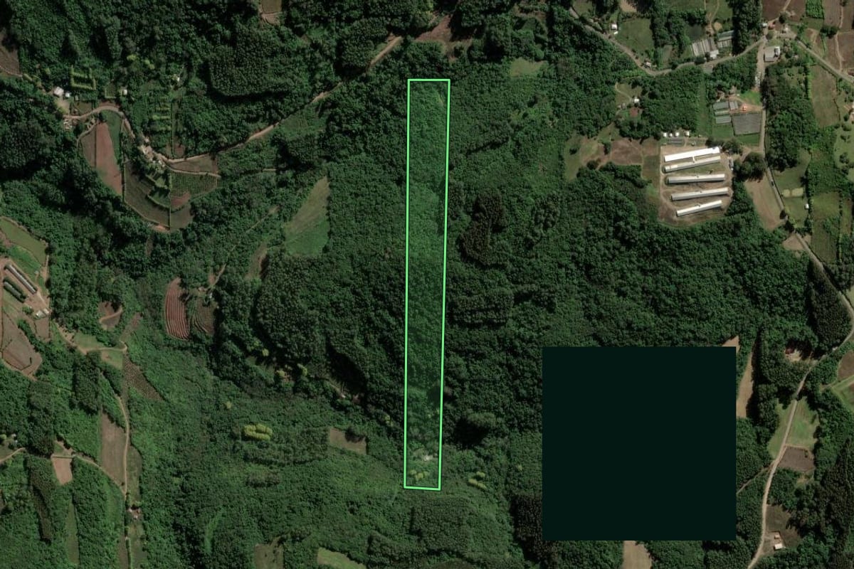 Imagem de satélite do imóvel rural em Coronel Pilar (RS), com o contorno declarado no CAR desenhado por cima.