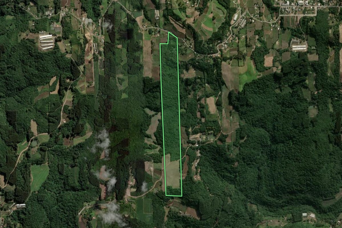 Imagem de satélite do imóvel rural em Coronel Pilar (RS), com o contorno declarado no CAR desenhado por cima.