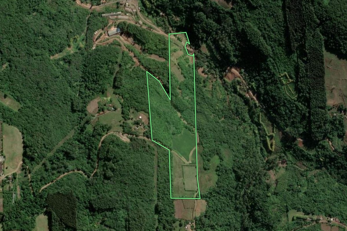 Imagem de satélite do imóvel rural em Coronel Pilar (RS), com o contorno declarado no CAR desenhado por cima.