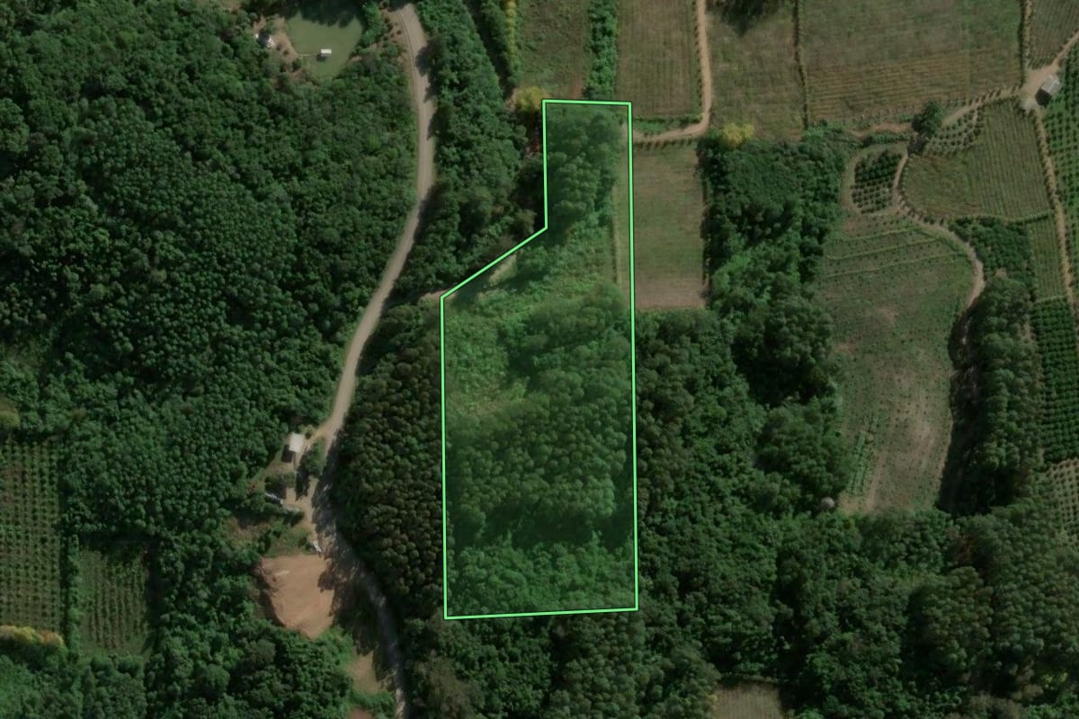 Imagem de satélite do imóvel rural em Coronel Pilar (RS), com o contorno declarado no CAR desenhado por cima.