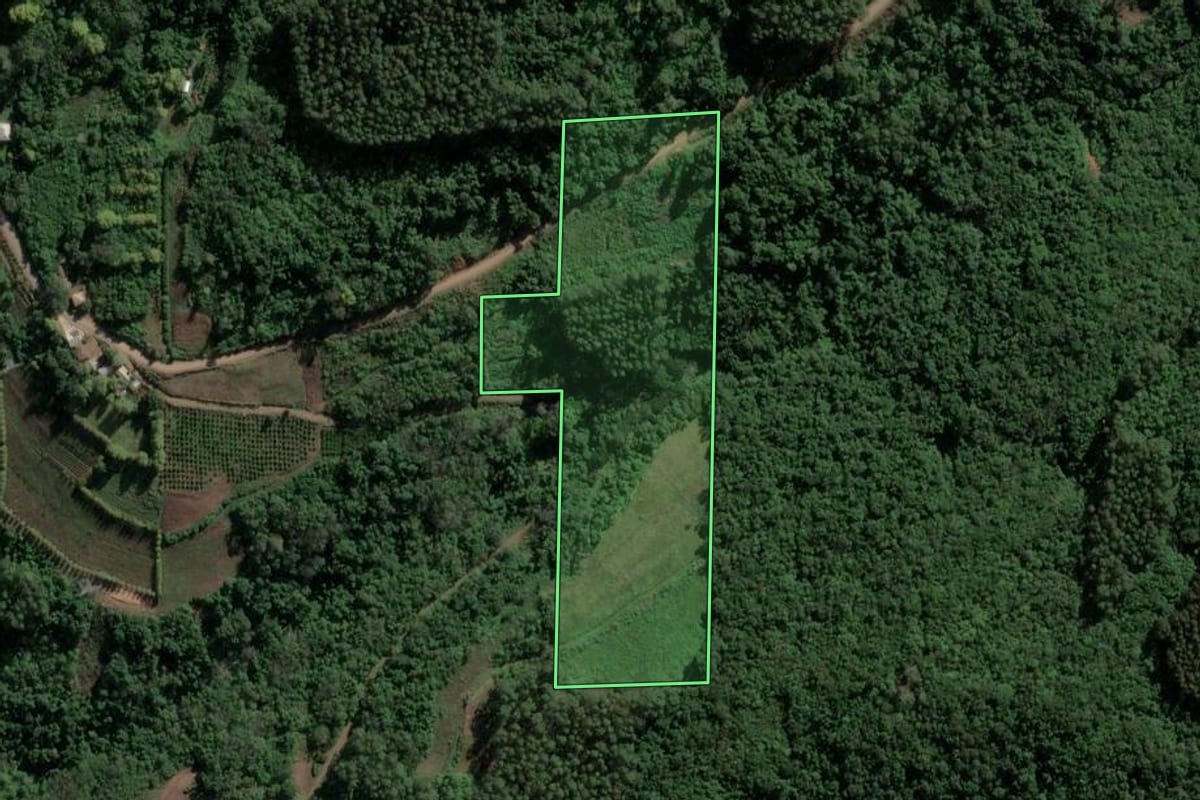Imagem de satélite do imóvel rural em Coronel Pilar (RS), com o contorno declarado no CAR desenhado por cima.