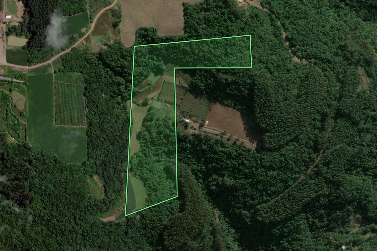 Imagem de satélite do imóvel rural em Coronel Pilar (RS), com o contorno declarado no CAR desenhado por cima.