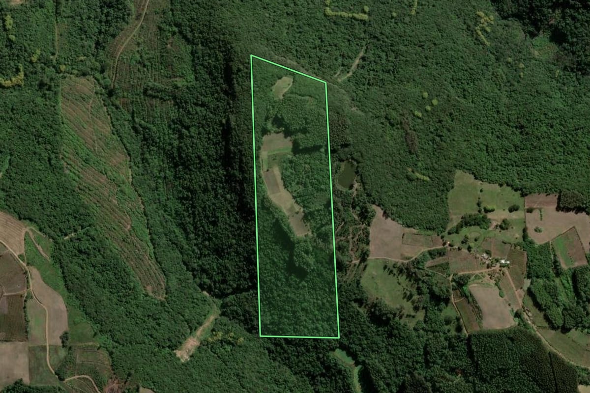 Imagem de satélite do imóvel rural em Coronel Pilar (RS), com o contorno declarado no CAR desenhado por cima.