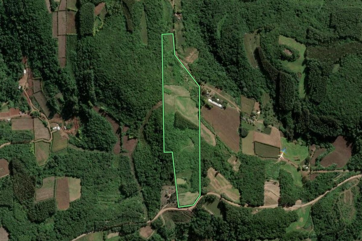 Imagem de satélite do imóvel rural em Coronel Pilar (RS), com o contorno declarado no CAR desenhado por cima.