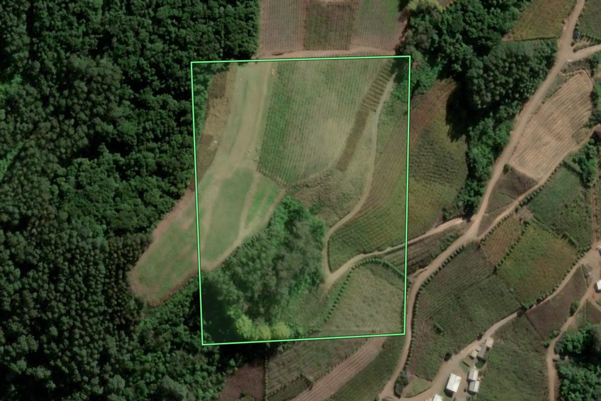 Imagem de satélite do imóvel rural em Coronel Pilar (RS), com o contorno declarado no CAR desenhado por cima.