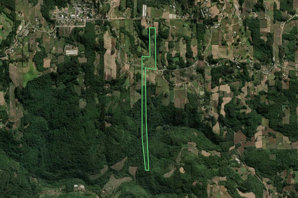 Imagem de satélite do imóvel rural em Coronel Pilar (RS), com o contorno declarado no CAR desenhado por cima.