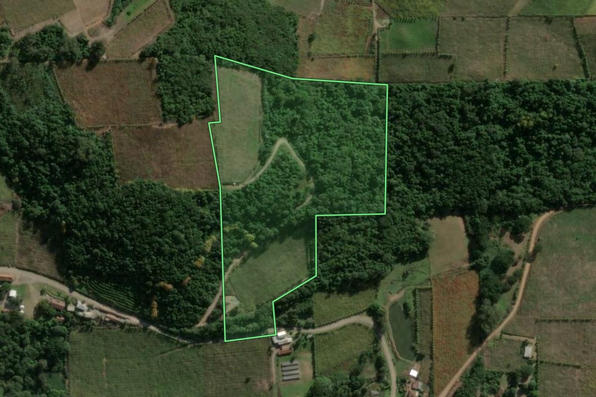 Imagem de satélite do imóvel rural em Coronel Pilar (RS), com o contorno declarado no CAR desenhado por cima.