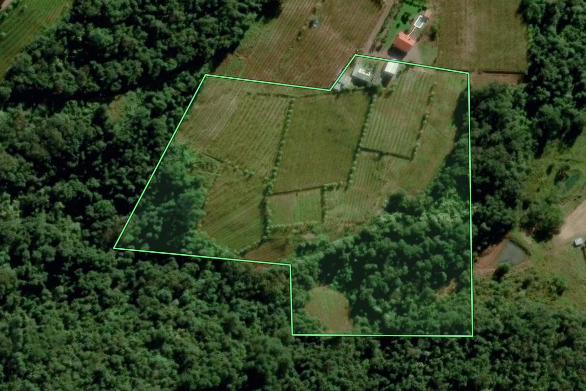 Imagem de satélite do imóvel rural em Coronel Pilar (RS), com o contorno declarado no CAR desenhado por cima.