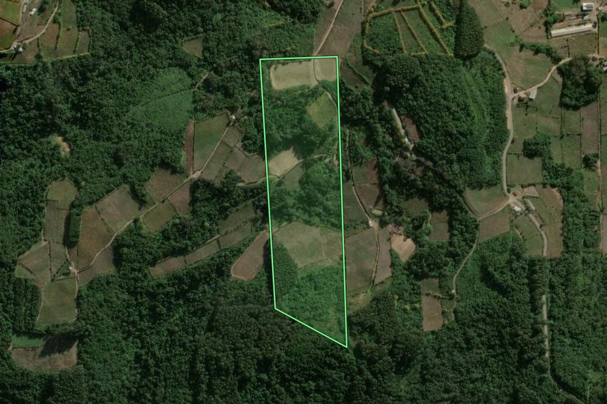 Imagem de satélite do imóvel rural em Coronel Pilar (RS), com o contorno declarado no CAR desenhado por cima.
