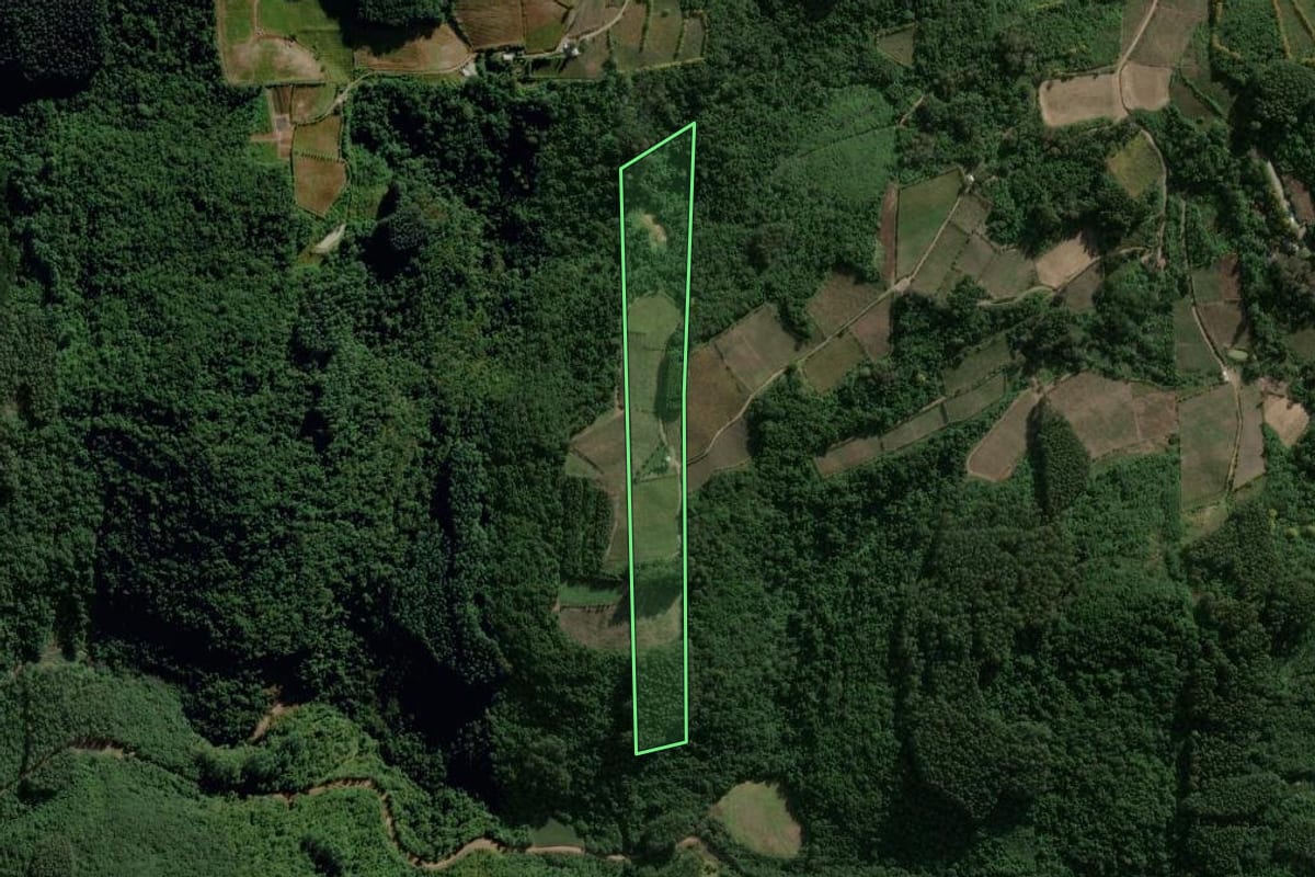 Imagem de satélite do imóvel rural em Coronel Pilar (RS), com o contorno declarado no CAR desenhado por cima.