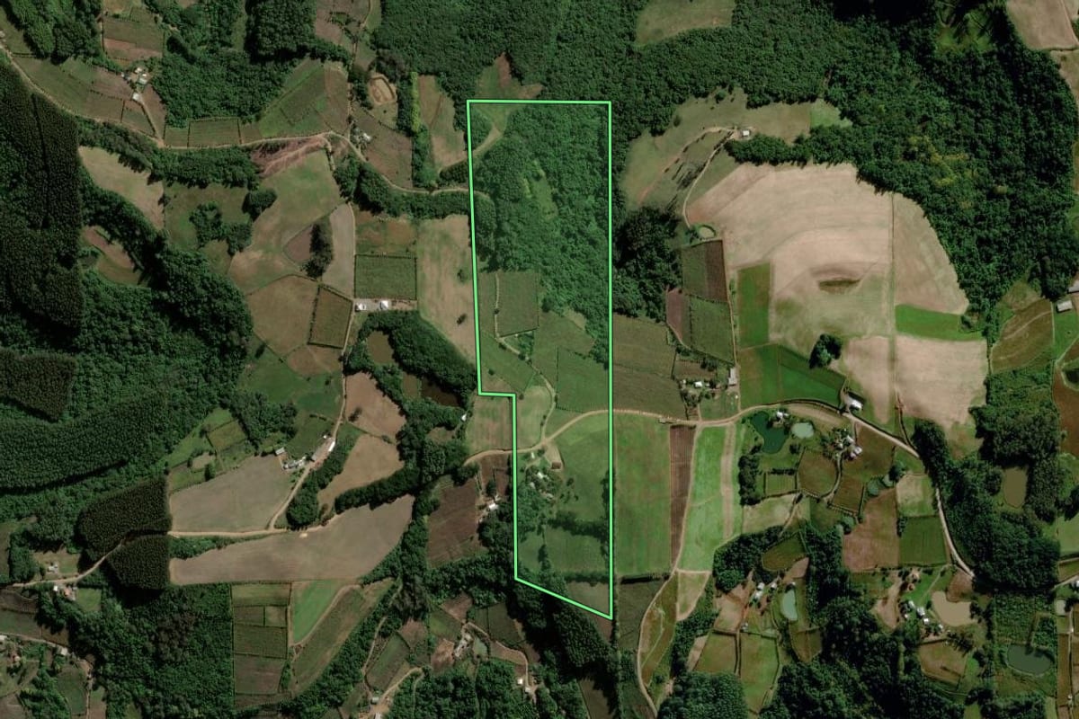 Imagem de satélite do imóvel rural em Coronel Pilar (RS), com o contorno declarado no CAR desenhado por cima.