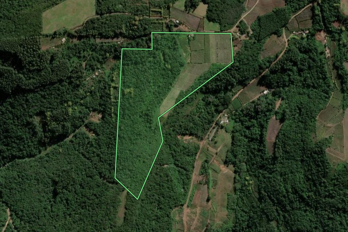 Imagem de satélite do imóvel rural em Coronel Pilar (RS), com o contorno declarado no CAR desenhado por cima.
