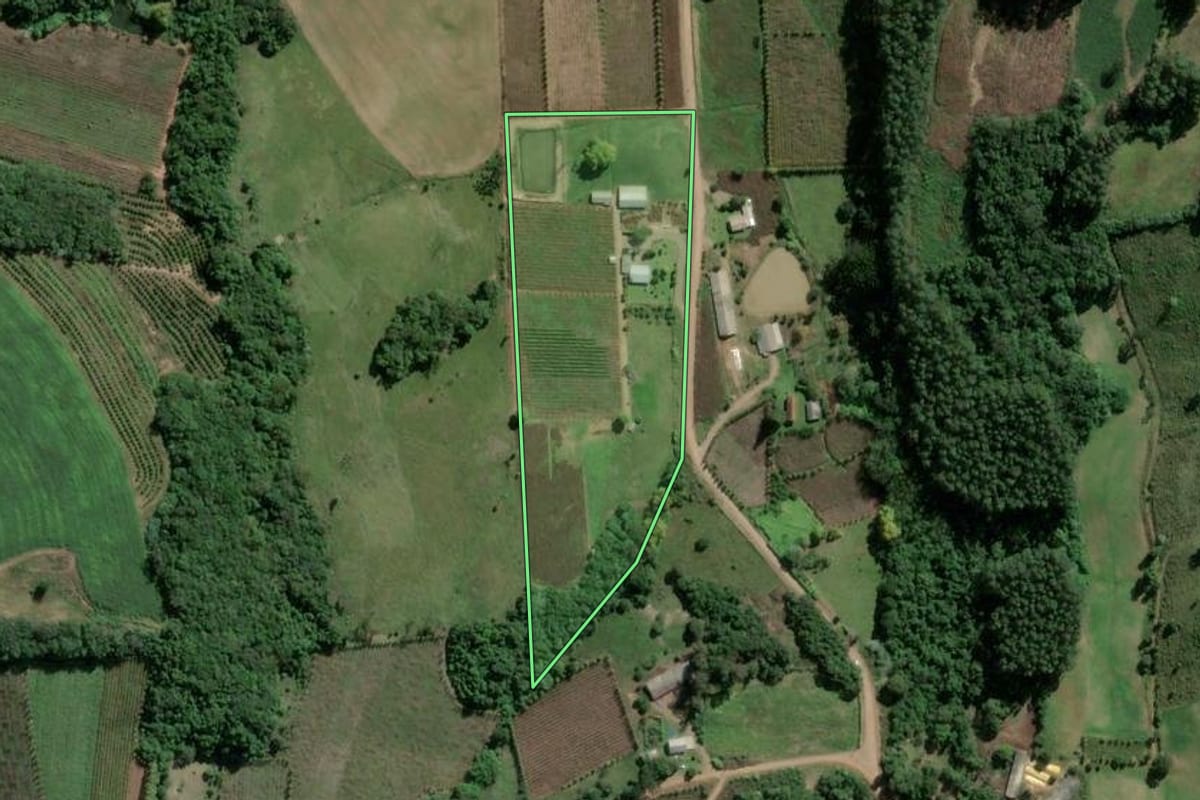 Imagem de satélite do imóvel rural em Coronel Pilar (RS), com o contorno declarado no CAR desenhado por cima.