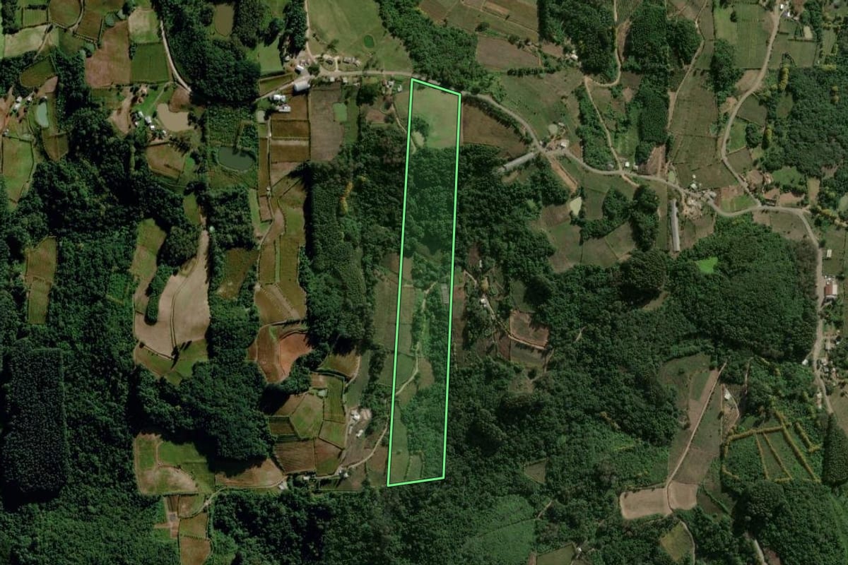Imagem de satélite do imóvel rural em Coronel Pilar (RS), com o contorno declarado no CAR desenhado por cima.