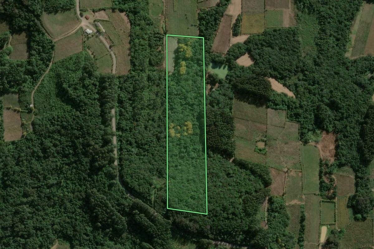 Imagem de satélite do imóvel rural em Coronel Pilar (RS), com o contorno declarado no CAR desenhado por cima.