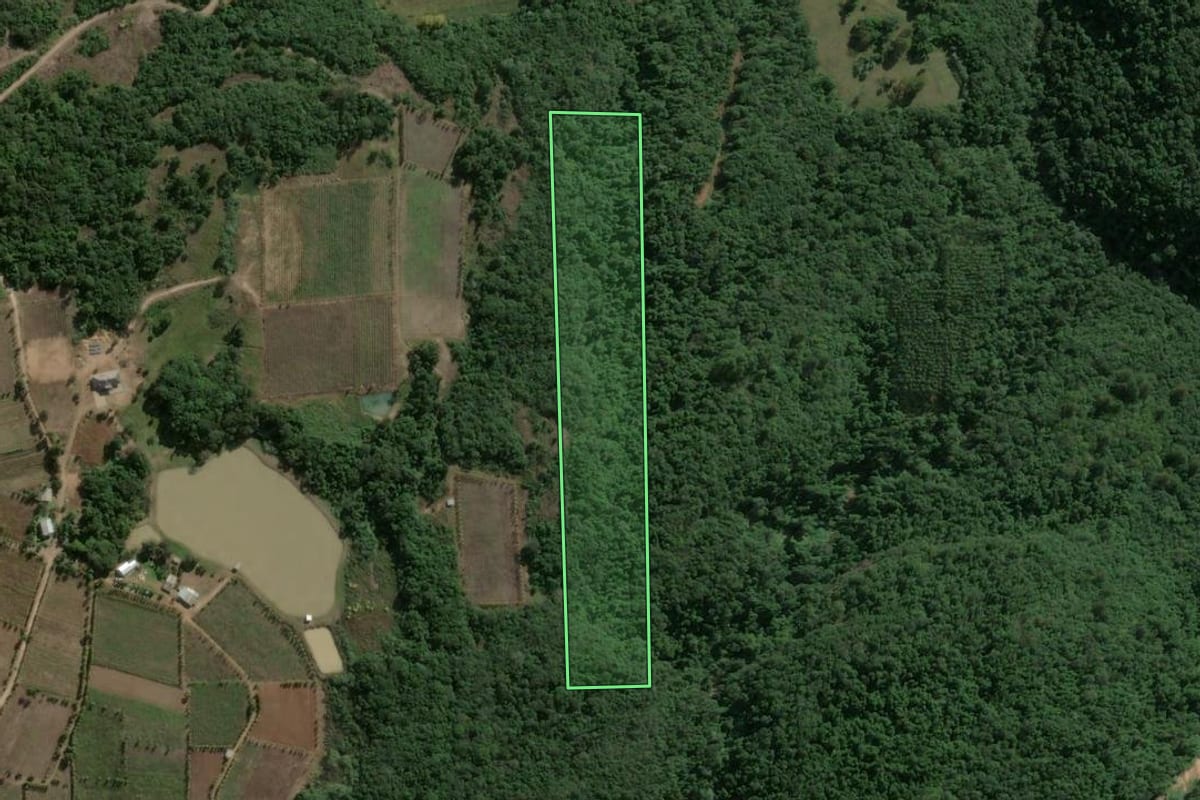 Imagem de satélite do imóvel rural em Coronel Pilar (RS), com o contorno declarado no CAR desenhado por cima.